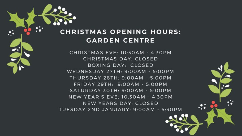 Christmas Opening Hours Garden Centre